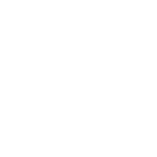 Icono Seguridad y Calidad
